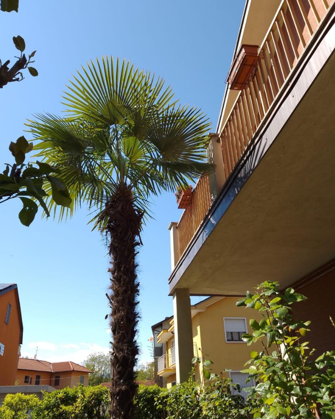 La Magnolia Apartment Venaria Reale Exterior photo